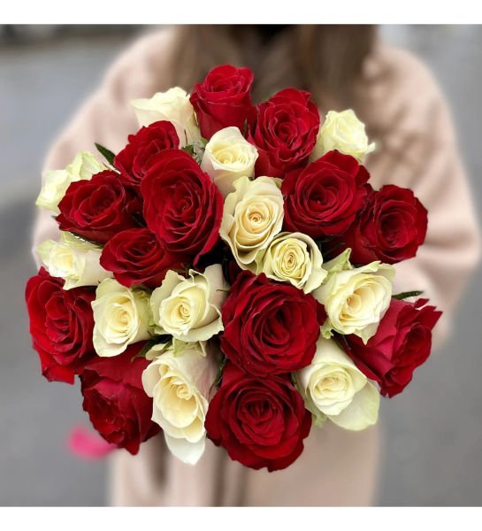 Kırmızı Beyaz Güller