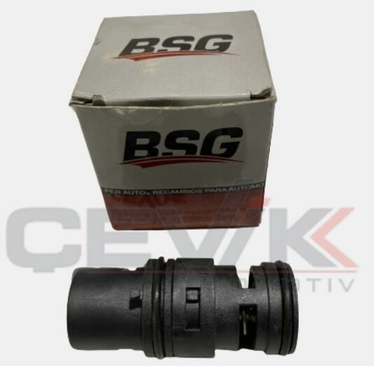 BMW EGR TERMOSTAT M43-N40-N42-N46-M52-M54 E46-E83-E53