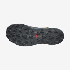 Salomon Thundercross GTX Flint Stone/Carbon/Orange Pepper Outdoor Ayakkabı