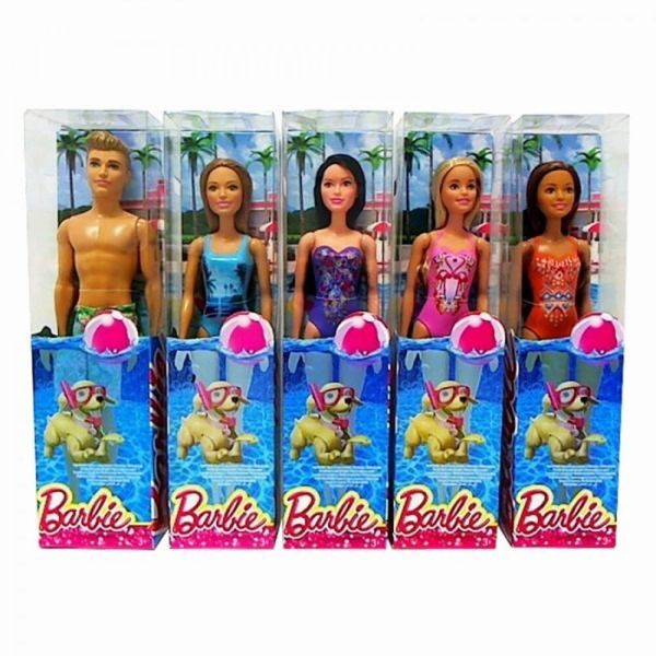 Mattel Barbie Tatilde Bebekleri DWJ99