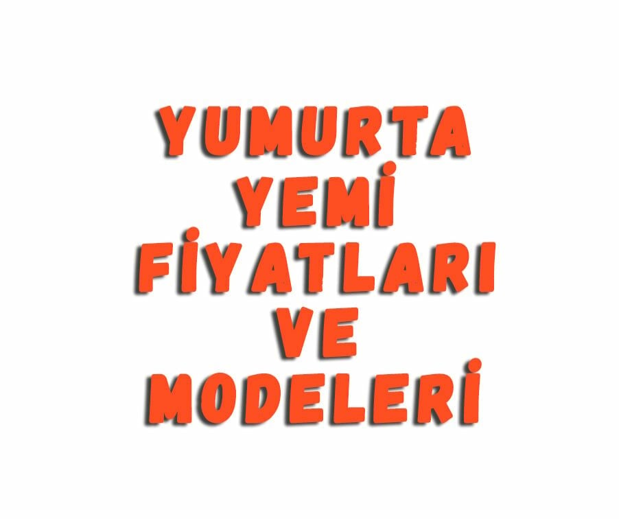 Yumurta Yemi Fiyatları Ve Modelleri