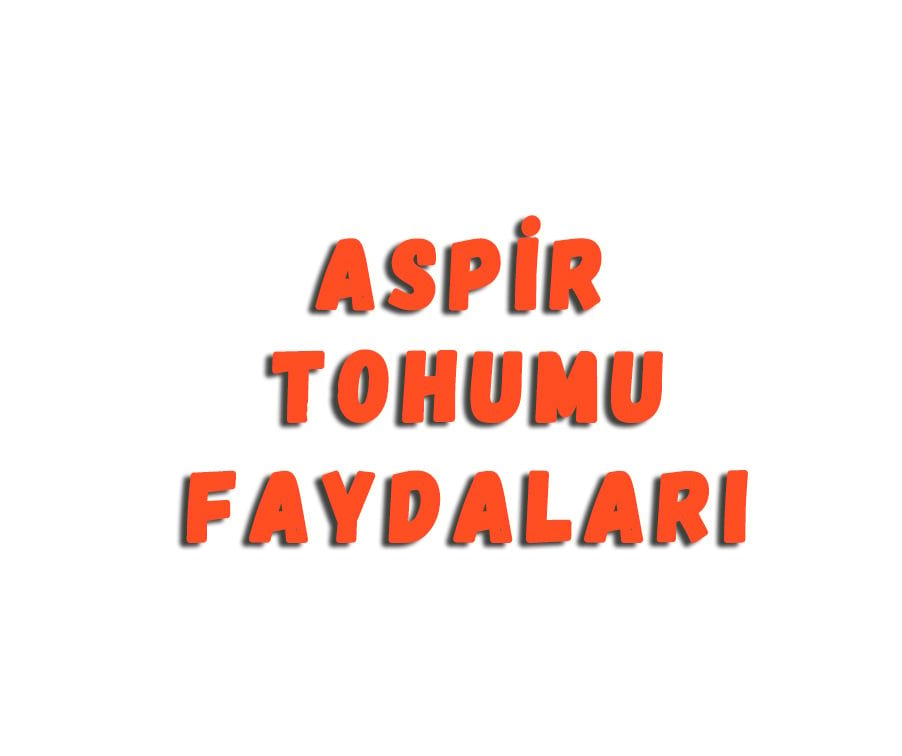 Aspir Tohumu Faydaları