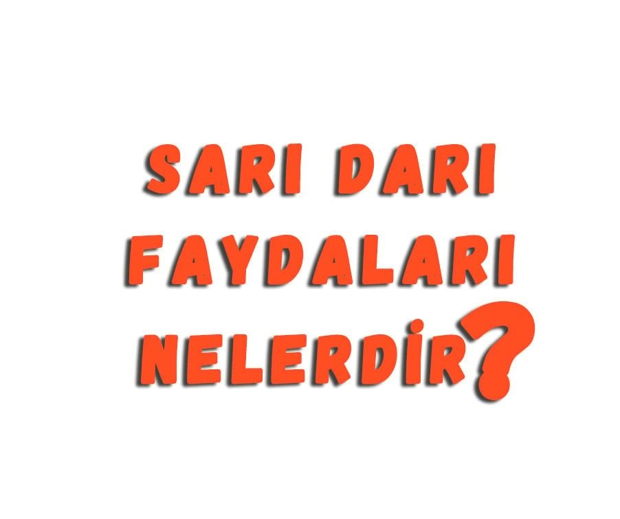 Sarı Darı Faydaları