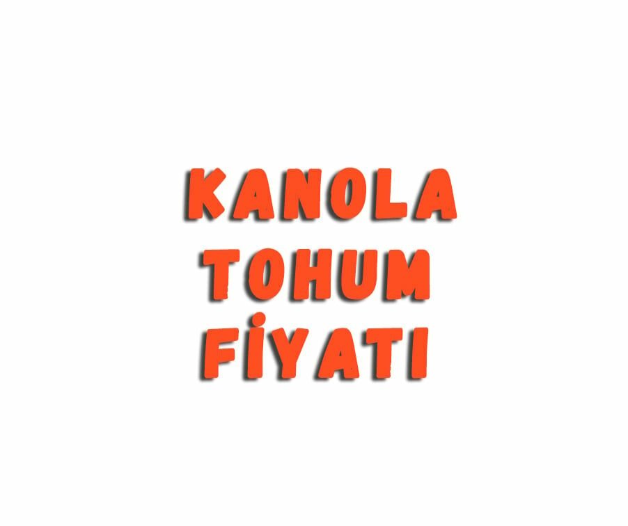 Kanola Tohum Fiyatı