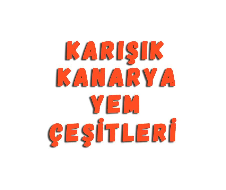 Karışık Kanarya Yem Çeşitleri
