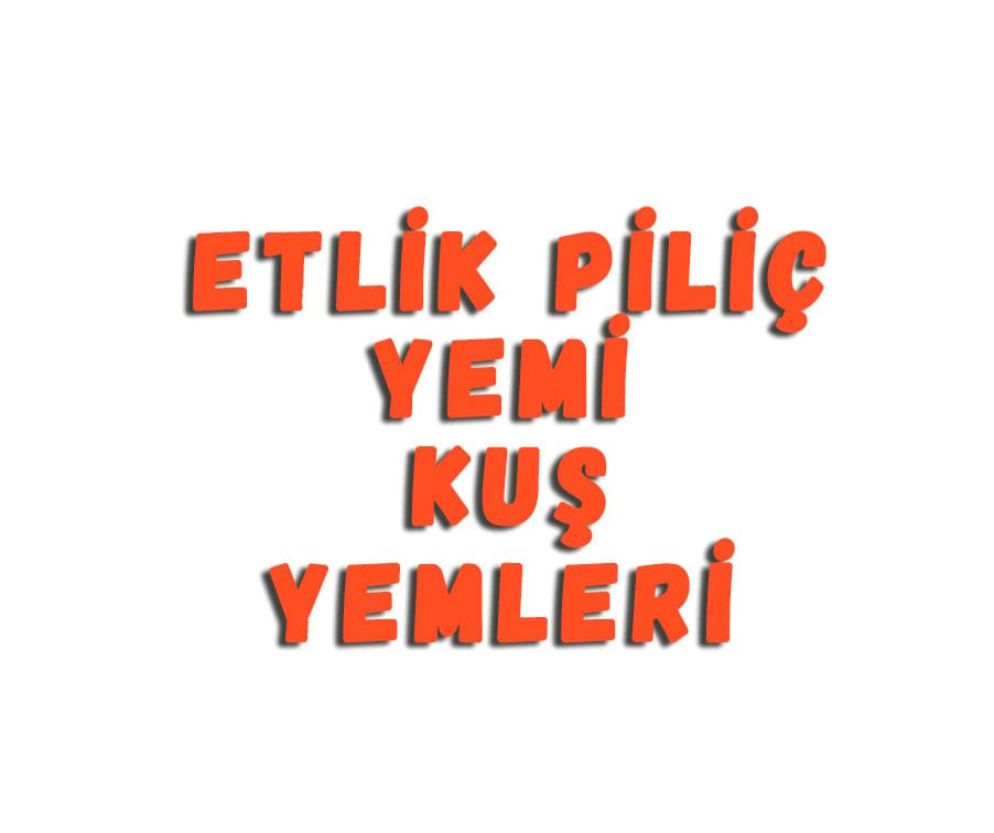 Etlik Piliç Yemi Kuş Yemleri