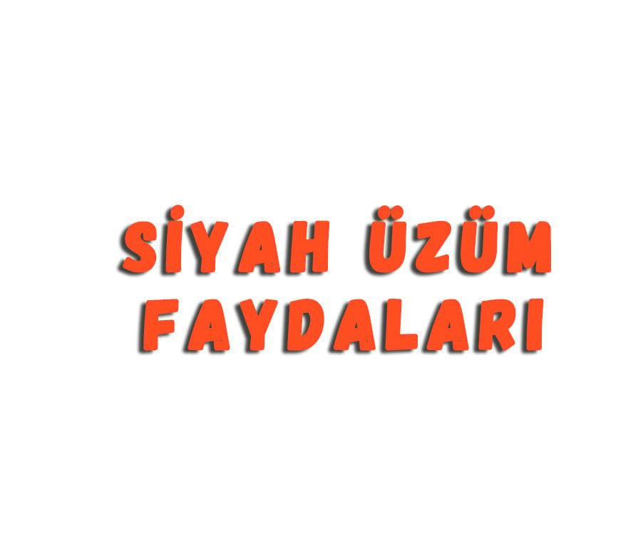Siyah Üzüm Faydaları