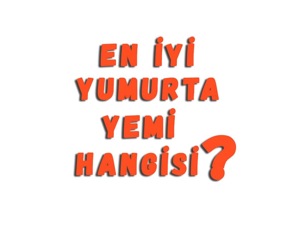 En İyi Yumurta Yemi Hangisi