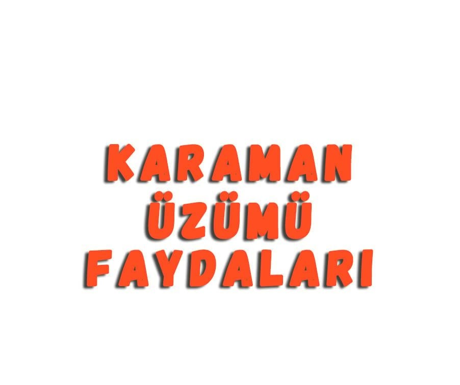 Karaman Üzümü Faydaları