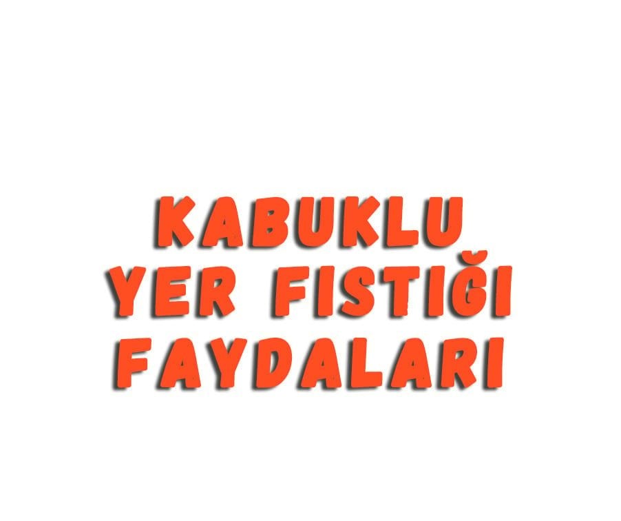 Kabuklu Yer Fıstığı Faydaları