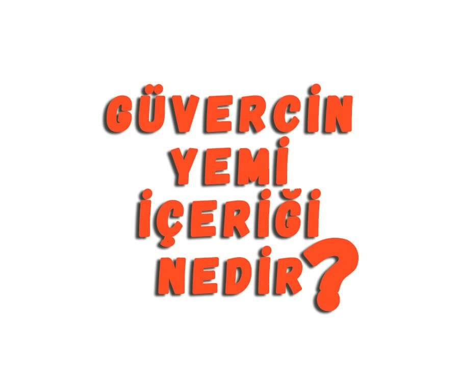 Güvercin Yemi İçeriği Nedir