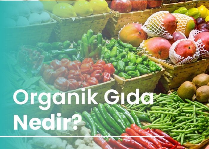 Organik Gıda Nedir