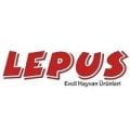 Lepus