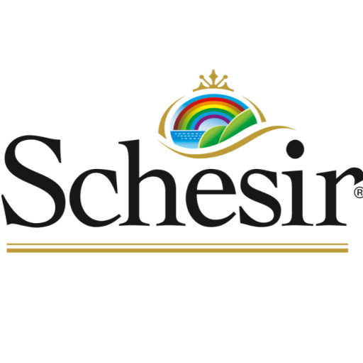 Schesir