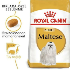 Maltese Adult Maltiz Yetişkin Köpeklerin Kuru Köpek Maması 1,5 Kg