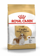 Cavalier King Charles Adult Yetişkin Köpek Maması 1.5 Kg