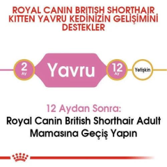 British Shorthair Kitten Yavru Kedi Maması 2 Kg