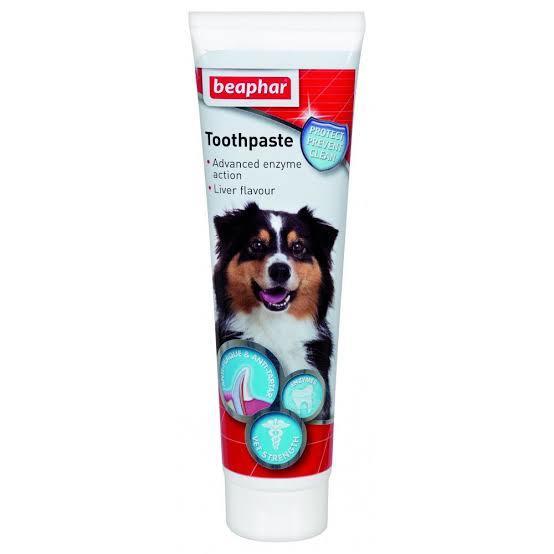 Toothpaste Köpek Diş Macunu 100gr