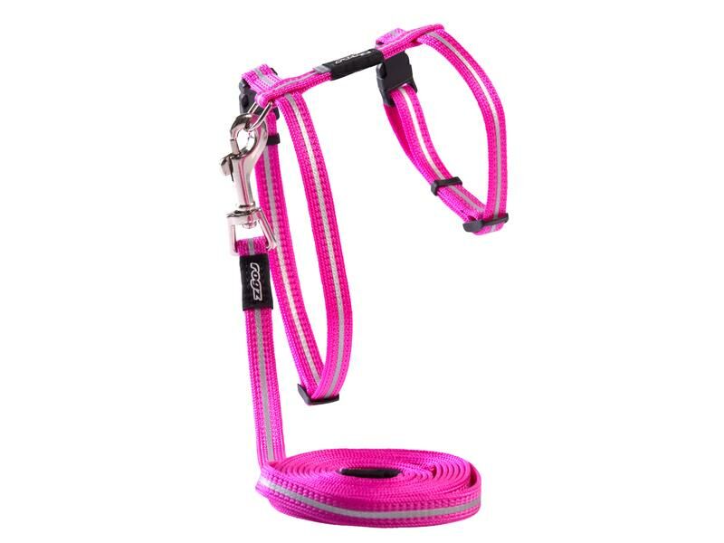 Alleycat Ayarlanabilir Kedi Tasma ve Tasma Seti Pembe 8mm