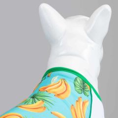 Banana Küçük, Orta ve Büyük Irk Köpek Tshirt