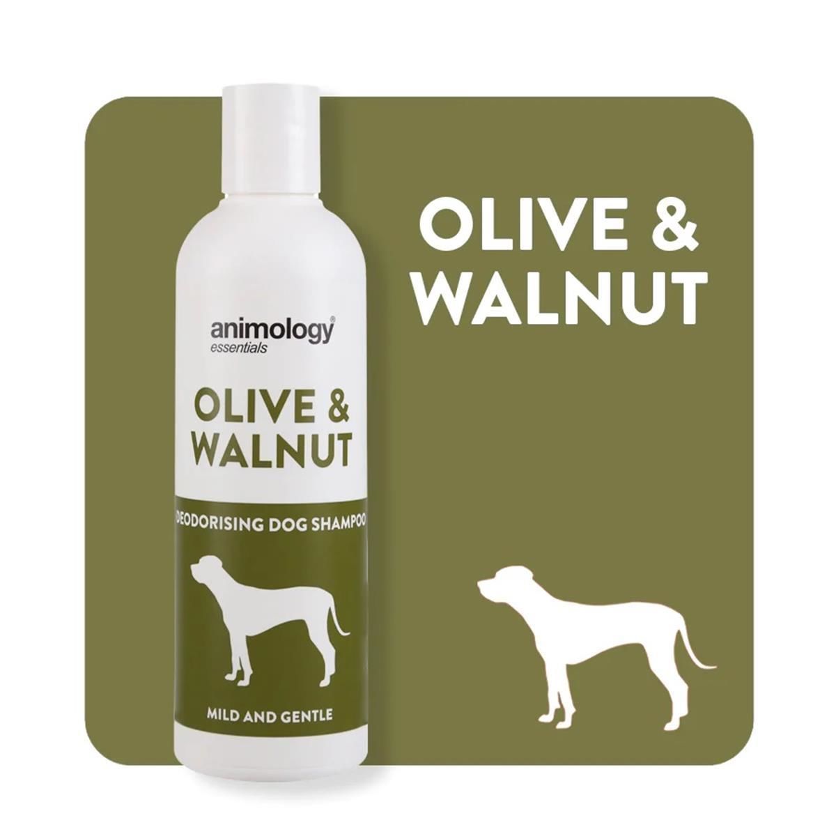 Essentials Olive & Walnut Shampoo Köpek Şampuanı 250 ML
