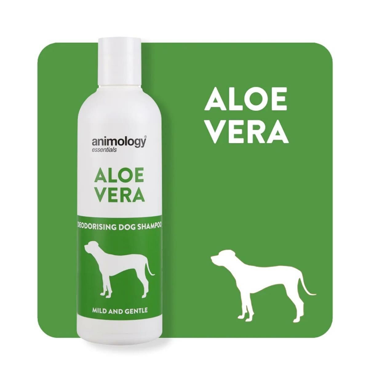 Essentials Essentials Aloe Vera Shampoo Köpek Şampuanı 250  ML
