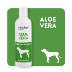 Essentials Essentials Aloe Vera Shampoo Köpek Şampuanı 250  ML