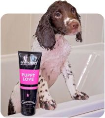 Puppy Love Yavru Köpek Şampuanı