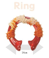 Carnivore Ring Dog Toy Pastırma Aromalı Kemirme Oyuncağı, Kemik
