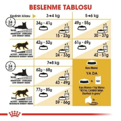 British Shorthair Adult Yetişkin Kedi Maması 2 Kg