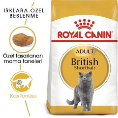 British Shorthair Adult Yetişkin Kedi Maması 2 Kg