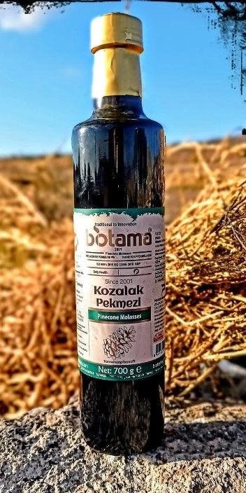 Biotama Çam Kozalağı Pekmezi 700 gr