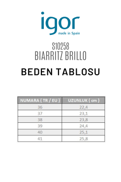 Igor Biarritz Brillo Kadın Siyah Rugan Sandalet S10258-002