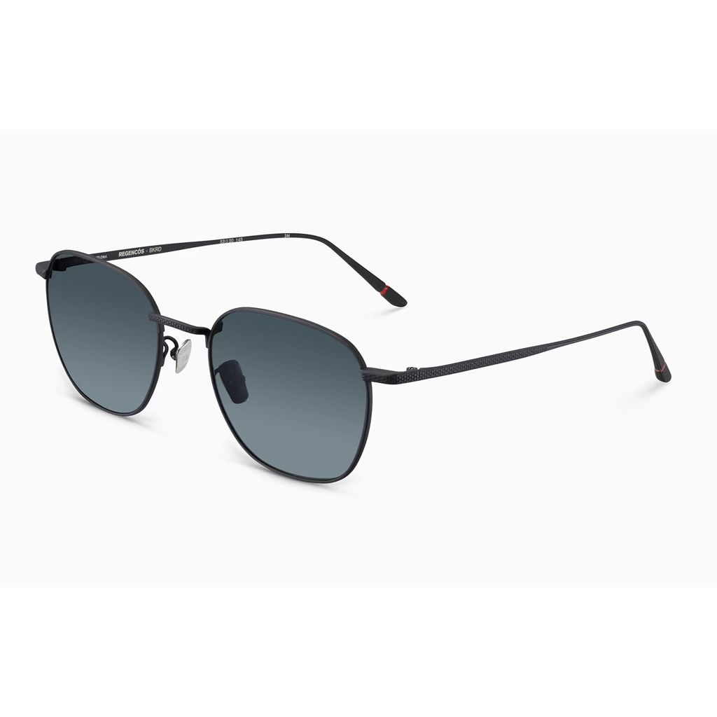 Etnia Barcelona REGENC BKRD 53 Unisex Güneş Gözlüğü