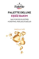 Palette 5-889 Şarap Kızılı