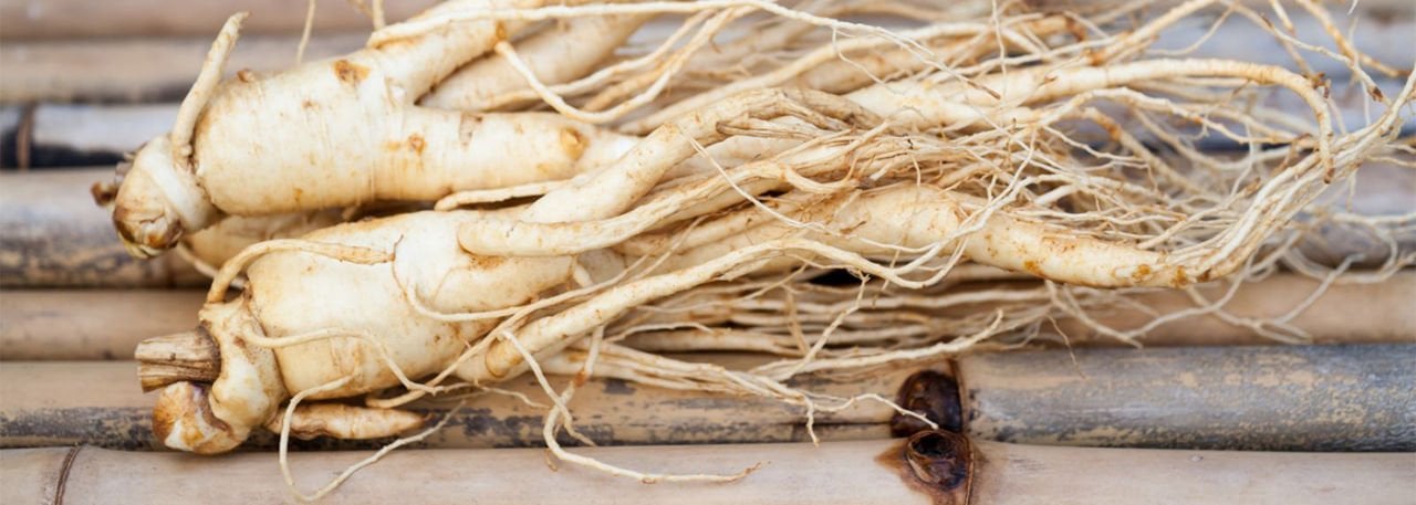 WHAT IS GINSENG, WHAT DOES IT DO ?