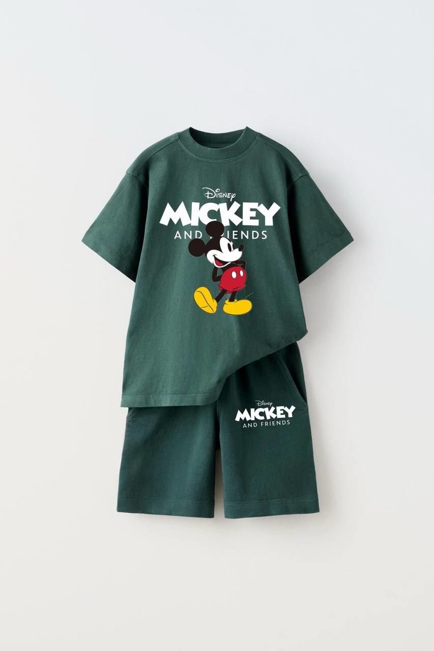 Mickey Takım