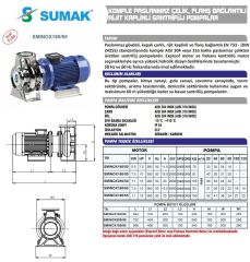 Sumak SMINOX160/50 Komple Paslanmaz Çelik, Flanş Bağlantılı Santrifüj Pompa Trifaze (380V) - 10 Hp