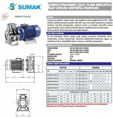Sumak SMINOX200/50 Komple Paslanmaz Çelik, Flanş Bağlantılı Santrifüj Pompa Trifaze (380V) - 15 Hp
