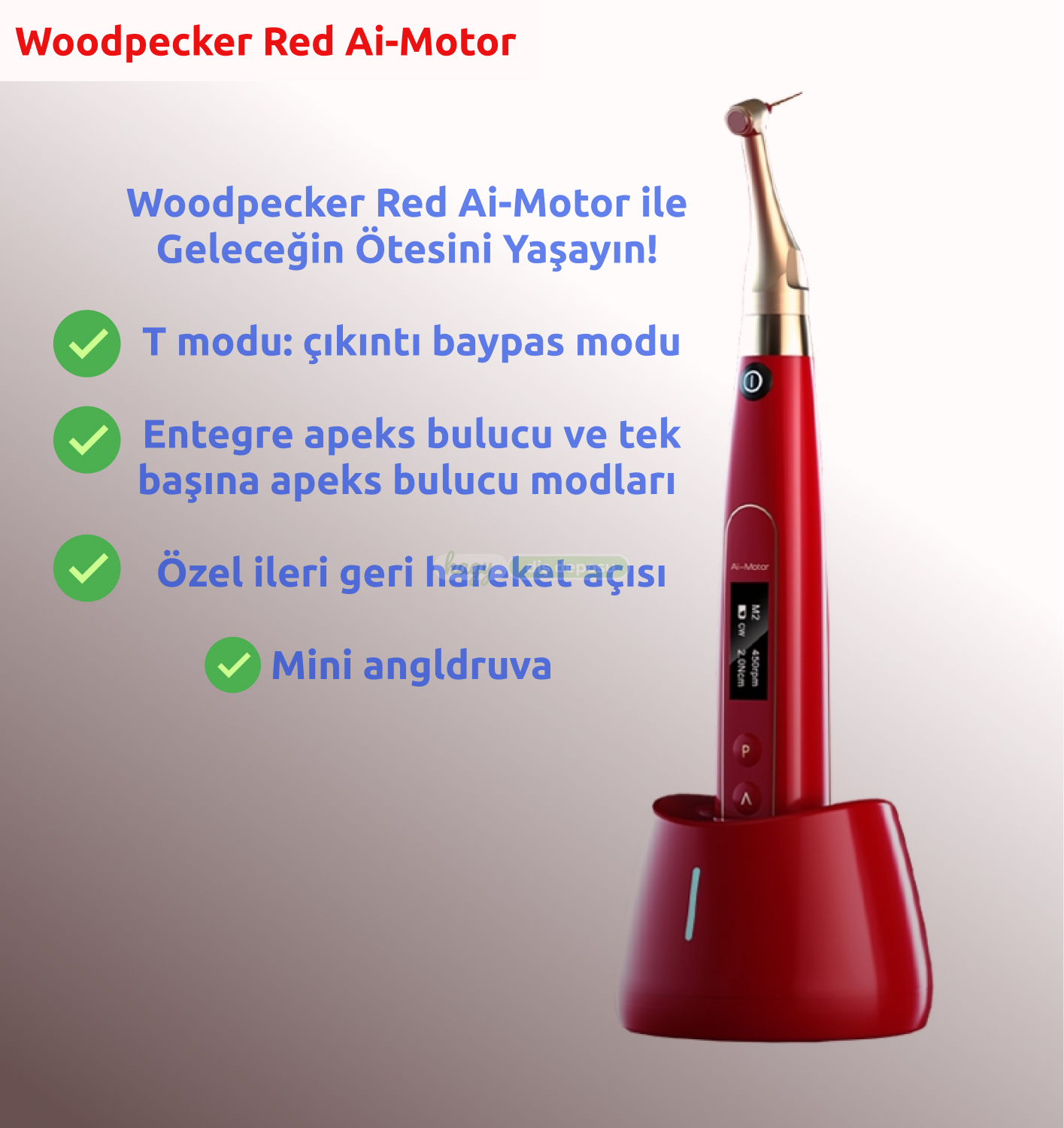 WOODPECKER Red Aİ Endo motor | Kırmızı Endo Motor