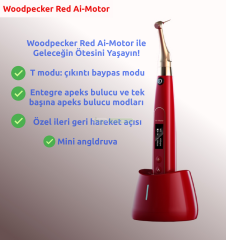 WOODPECKER Red Aİ Endo motor | Kırmızı Endo Motor