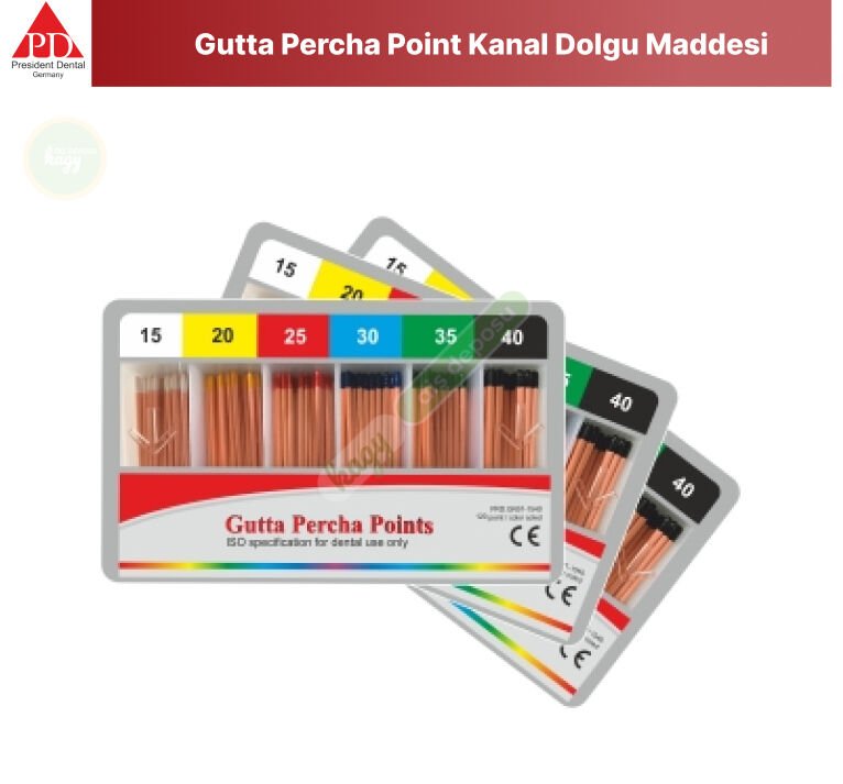 PRESIDENT DENTAL Gutta Percha Point