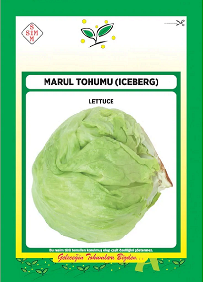 Iceberg Marul Tohumu 1 Paket (1500 Adet) Tohum Sebze Tohumu