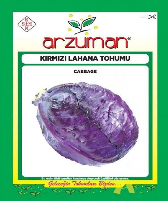 Kırmızı/Mor Lahana Tohumu 1 Paket (3000 Adet) Tohum Sebze Tohumu