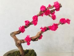 Yapay Çiçek 1 adet 40-80 cm Mor Bahar Dalı Yapay Bitki Ağaç Bonsai Ağacı