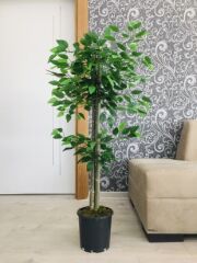 Yapay Çiçek 1 adet 105 cm Yeşil Yapraklı Benjamin Ağacı Saksıda Yapay Bitki Ağaç Bonsai Ağacı
