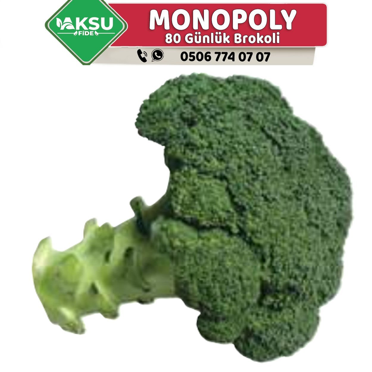Monopoly 80 Günlük Brokoli Fidesi