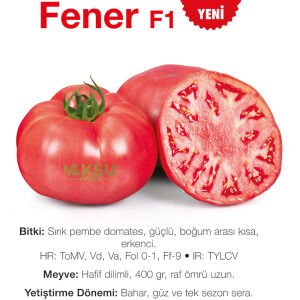 Fener F1 - Pembe Beef Domates Fidesi