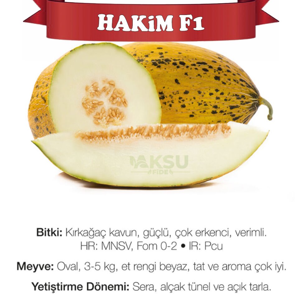 Hakim F1 Kırkağaç Kavun Fidesi