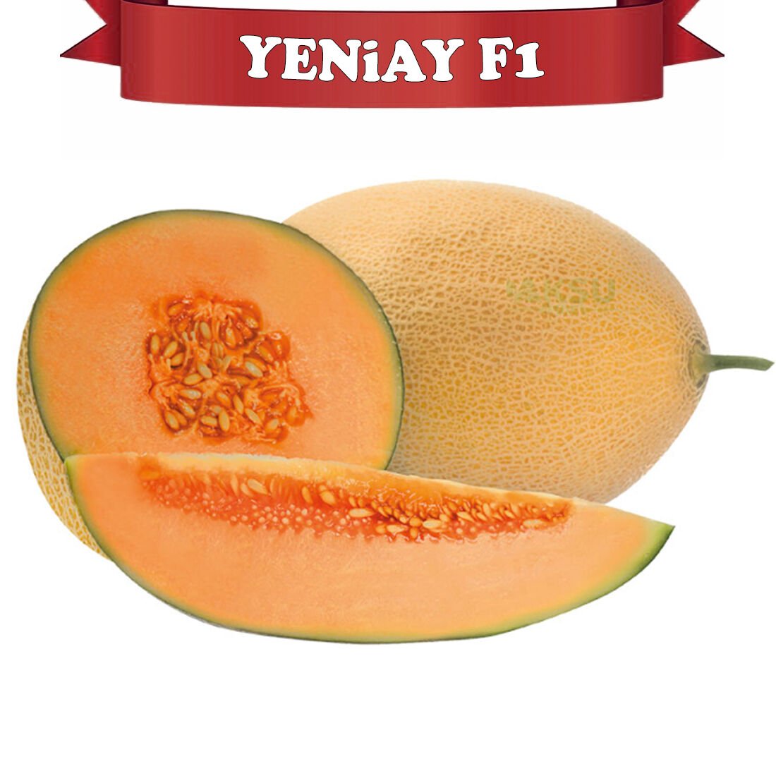 Yeniay F1 Ananas Tipi Kavun Fidesi